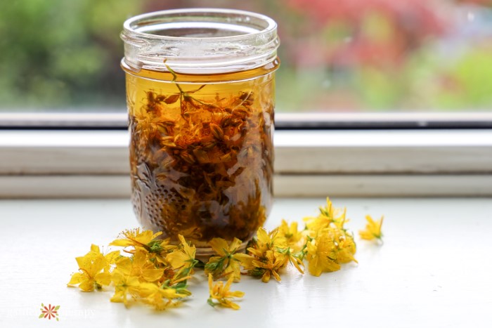 Glass jar of oil infused with small yellow flowers on a window sill