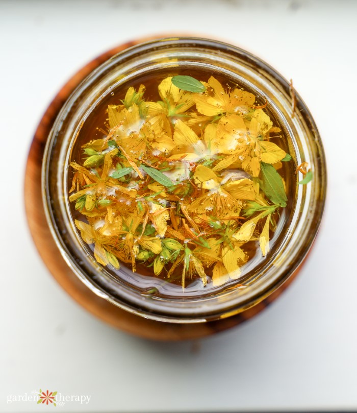 Top view of st. john's wort oil