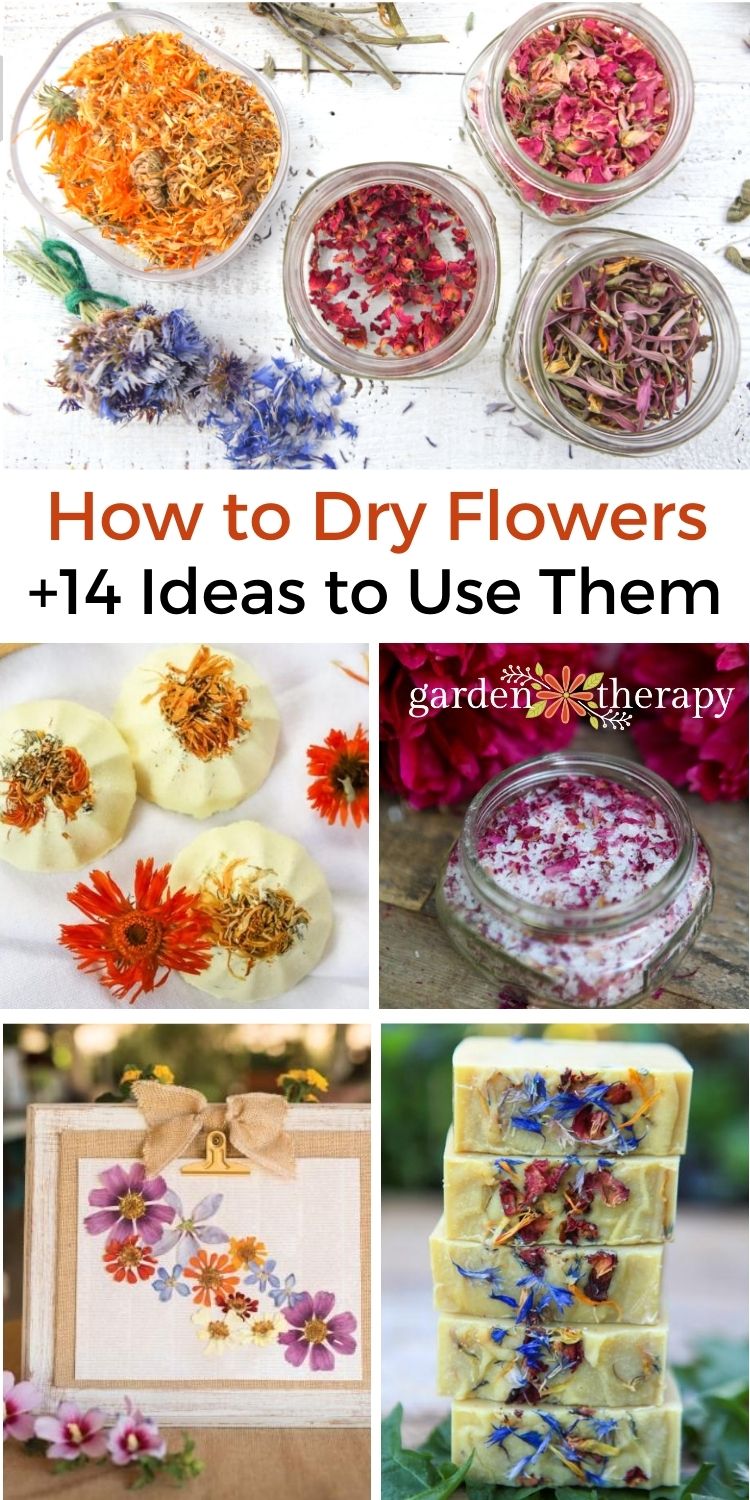 Effortless Oven Dried Flowers for Crafts  Pressed flowers diy, Dried  flowers diy, How to dry out flowers