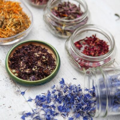 Colorful dried flower petals in glass jars
