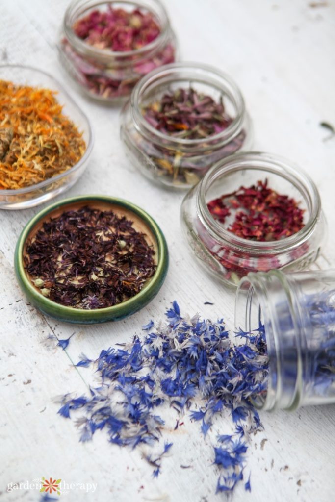 Colorful dried flower petals in glass jars for soap making supplies