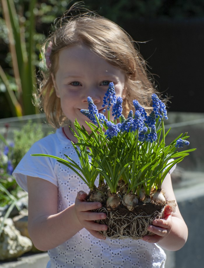 girl holding hyacinth flowers