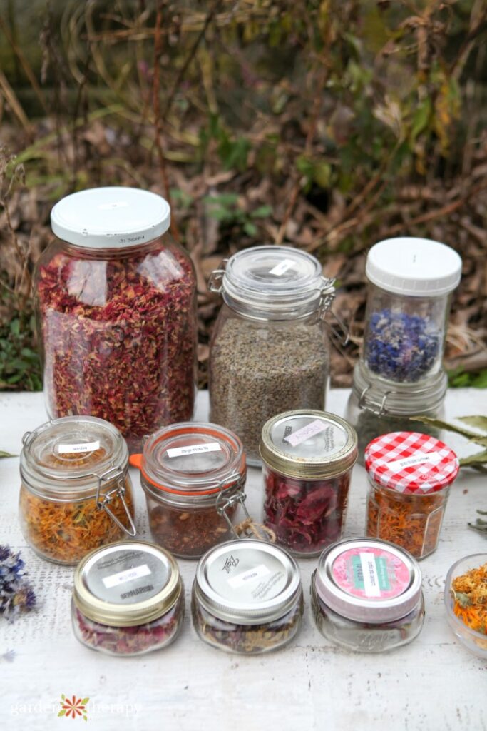 Dried herbs in jars