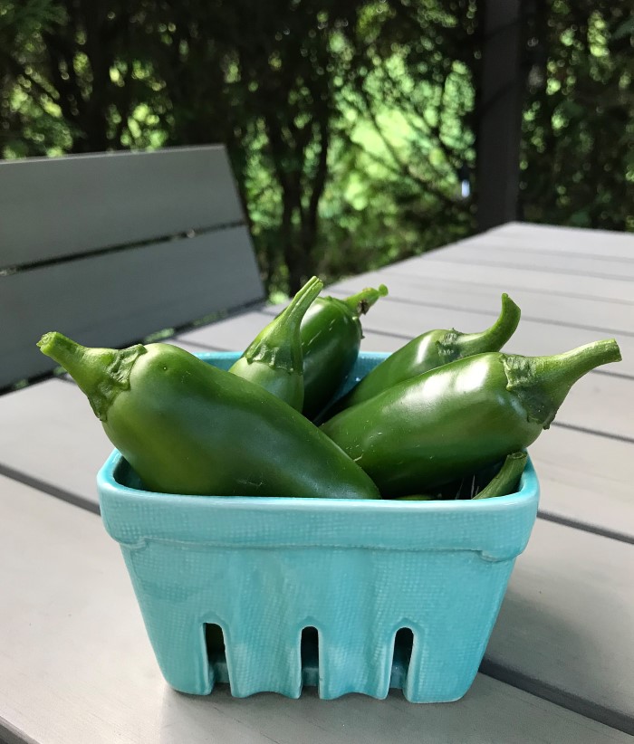 Burpee Jalapeno Sweet Poppers