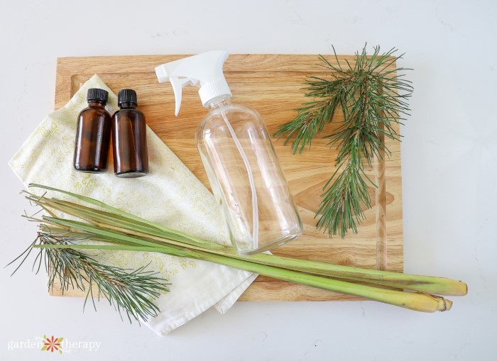 cutting board with pine needle clippings and empty jars