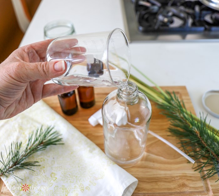 pouring distilled pine needle steam into a jar