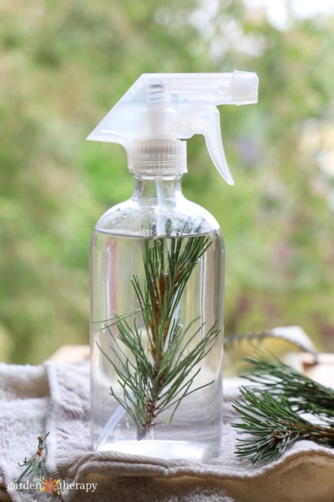 Pine needle spray