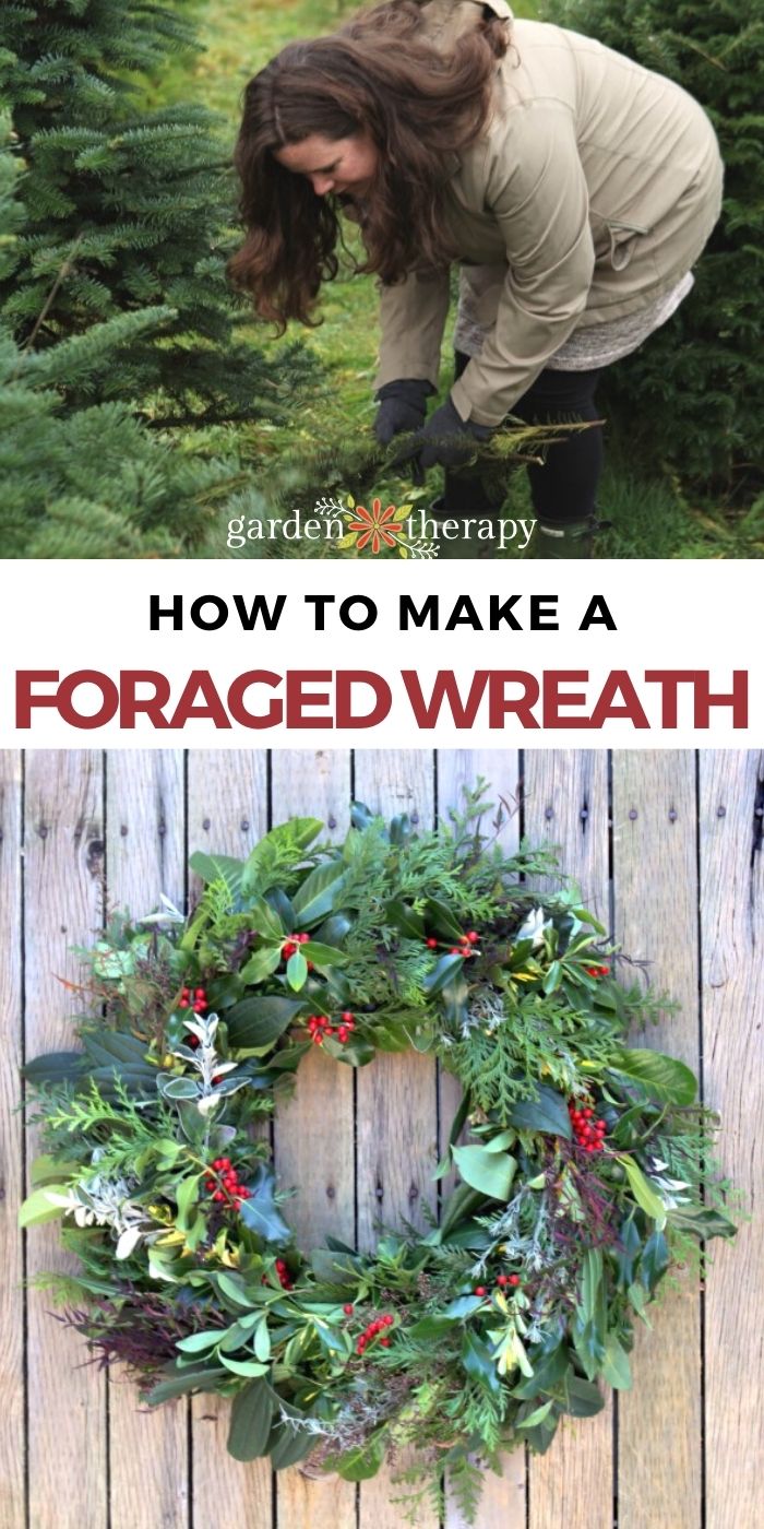 Winter Pine & Sign Grapevine Wreath - Free Tutorial & Supply List