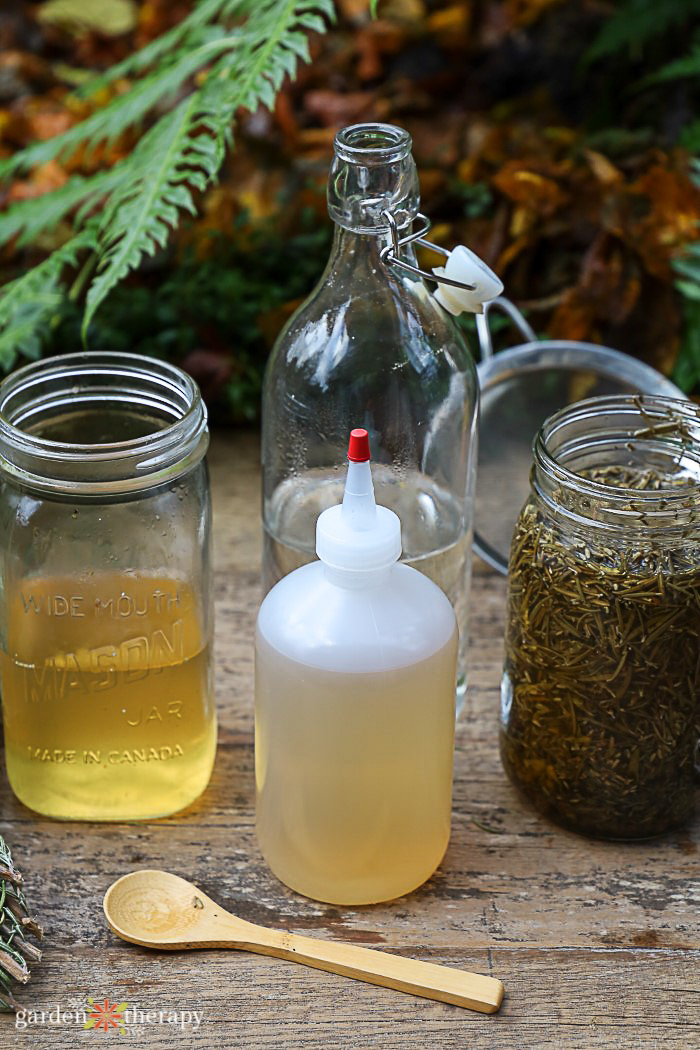 plastic squeeze bottle filled with a homemade apple cider vinegar hair rinse made with infused herbs