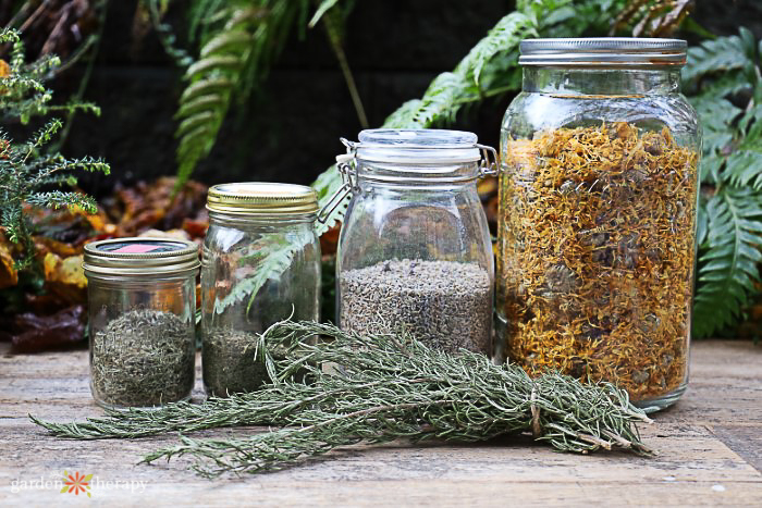 Mason jars filled with dried herbs to make an herbal hair rinse. 