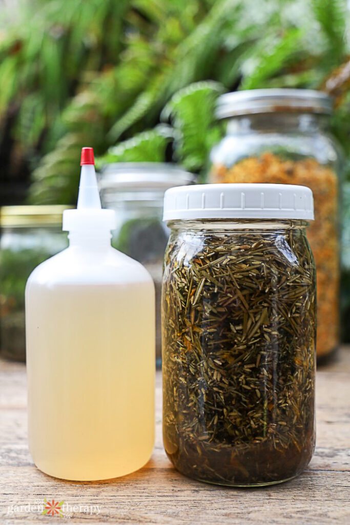 herbs infusing in mason jar next to apple cider vinegar hair rinse