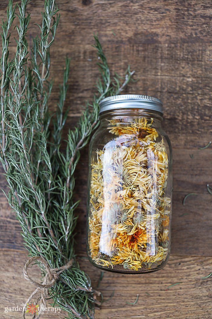 sprig of rosemary next to a mason jar of calendula herb