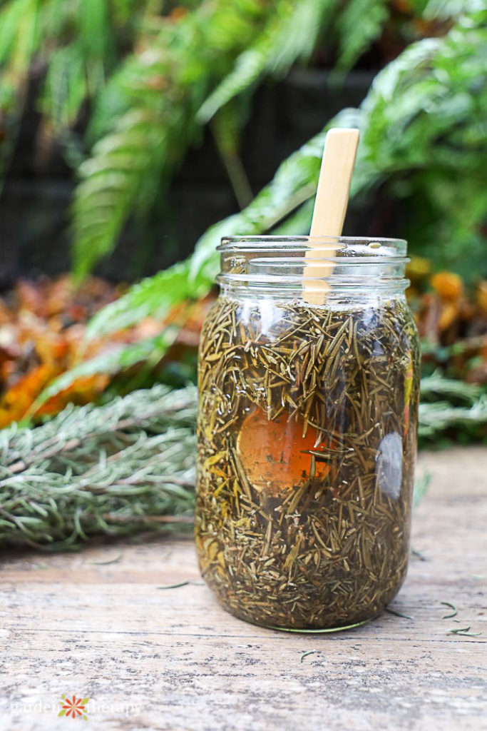 jar of herbal hair rinse made with ACV