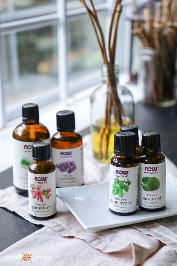 Essential oils used as reed diffuser oils