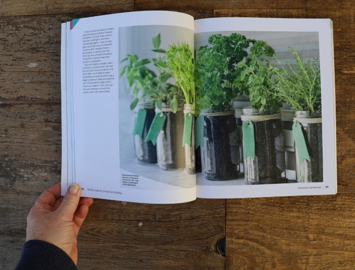 Page from Field Guide to Epic Gardening showing herbs growing in mason jars