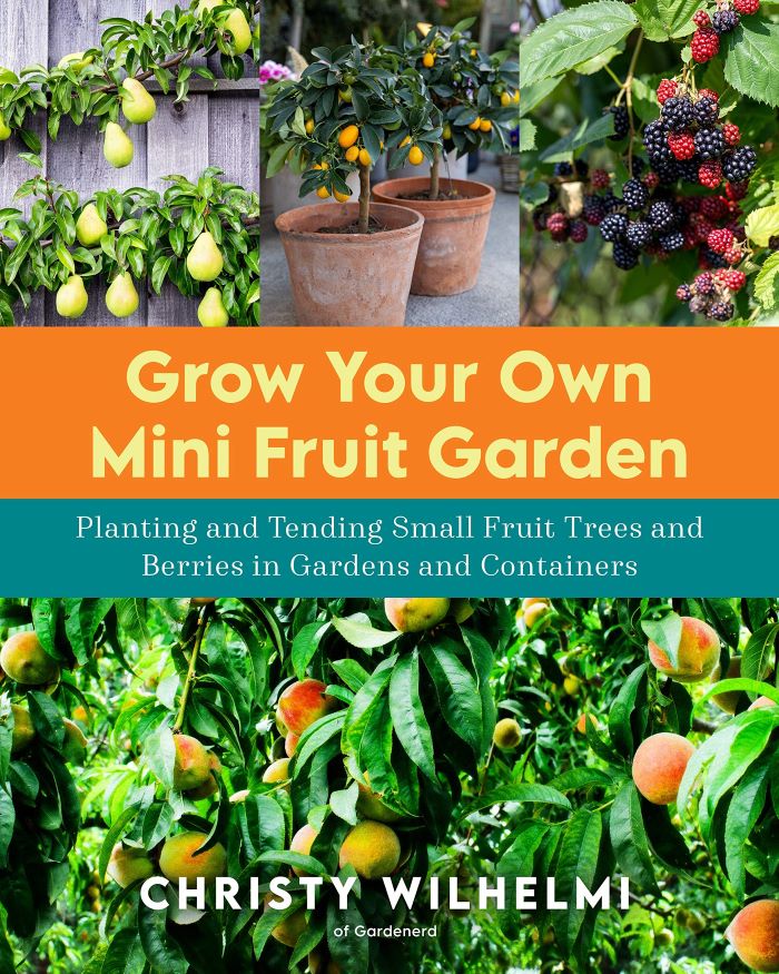 Grow Your Own Mini Fruit Garden book cover