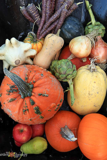 Heirloom Vegetables in a barrow