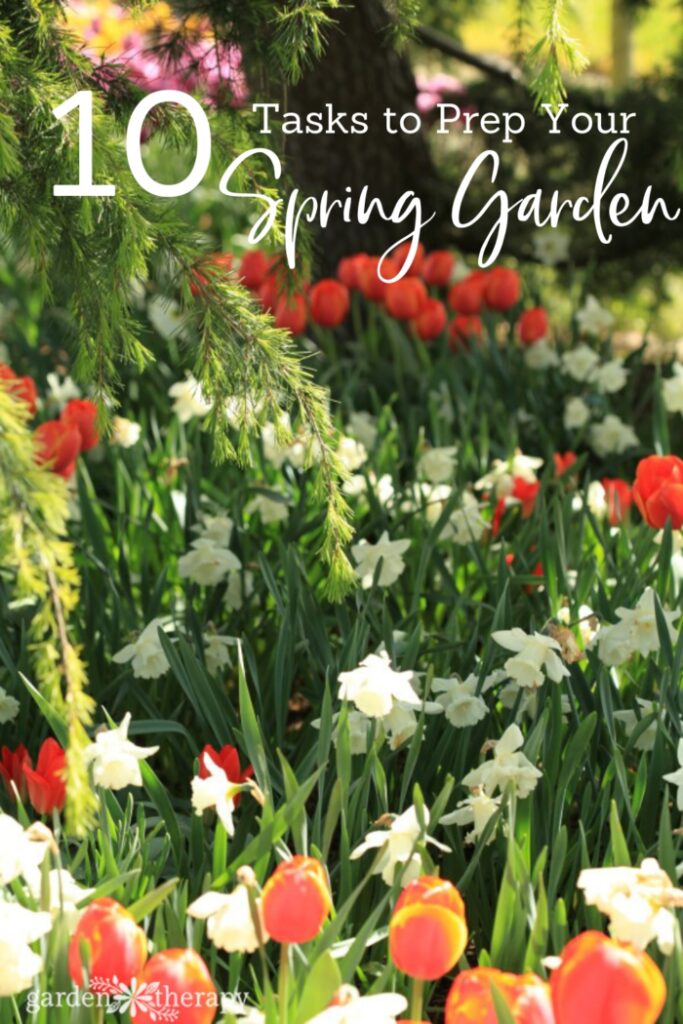 Spring garden filled with tulips and daffodils