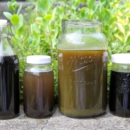 four jars of fertilizers in a row out in the garden