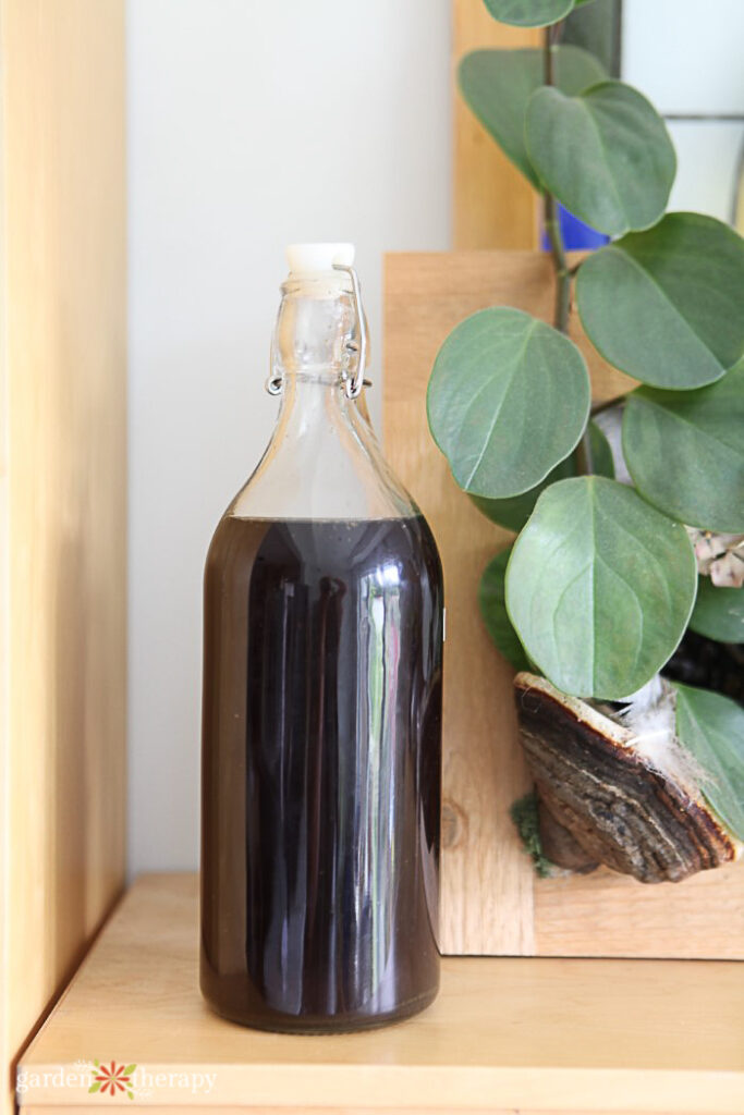 houseplant fertilizer recipe