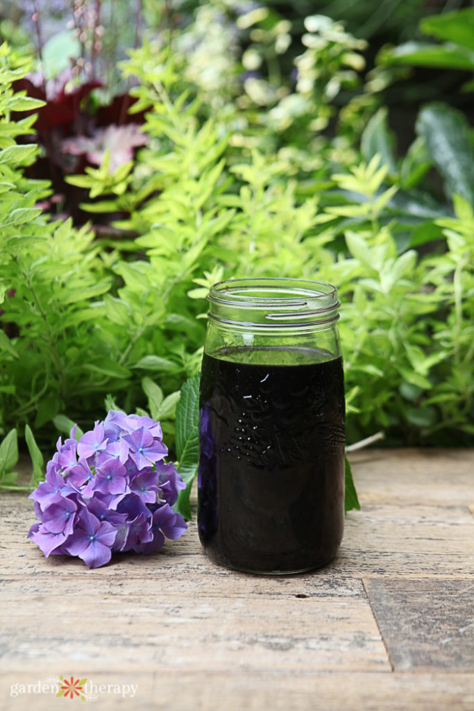 indoor plant fertilizer with hydrangea