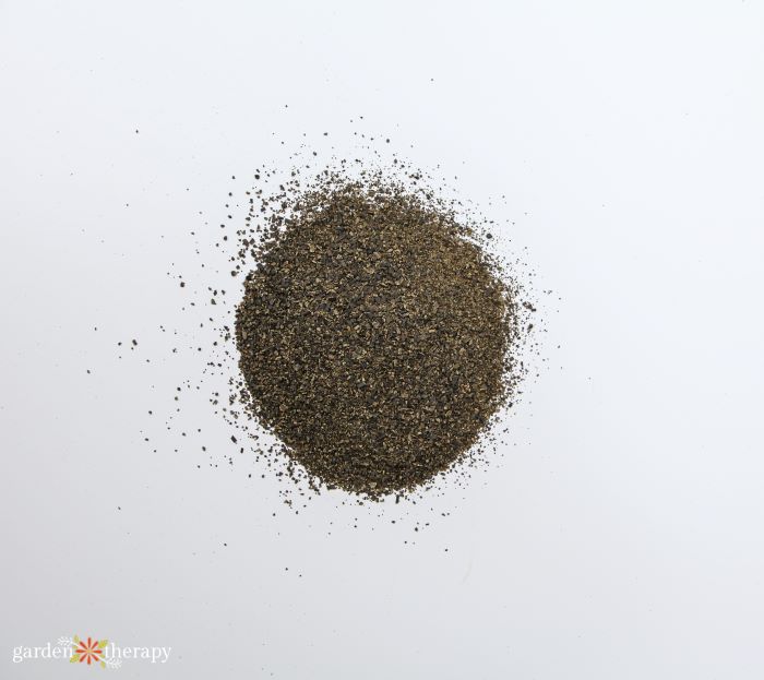 pile of kelp meal on white background