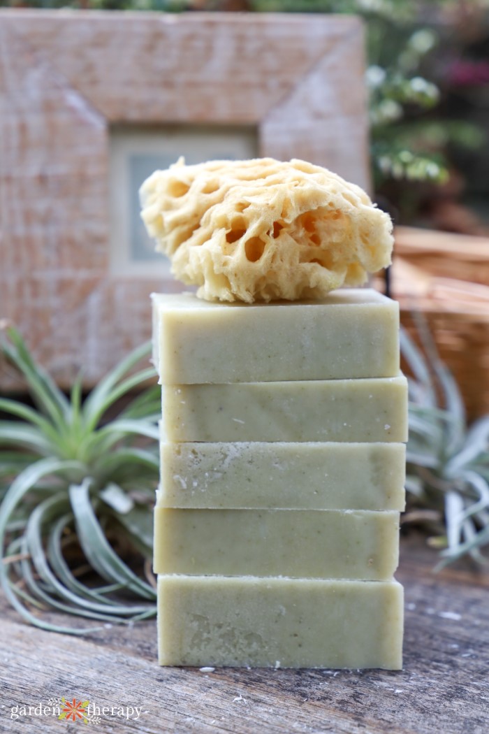 matcha soap with rosemary and spearmint