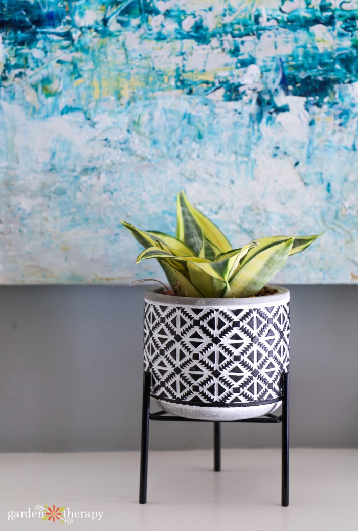 decorative potted houseplant