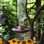 glass hummingbird feeder