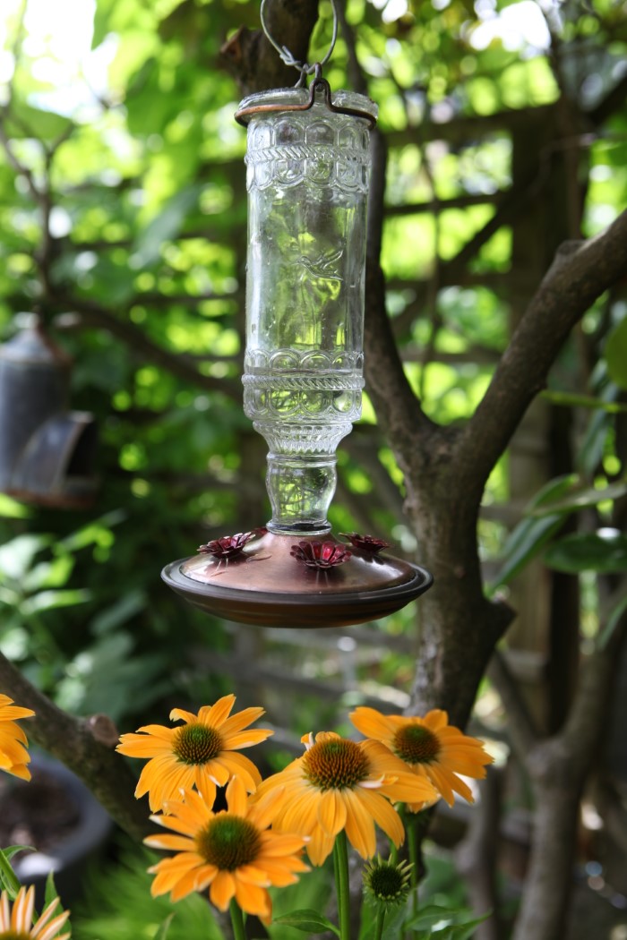 glass hummingbird feeder