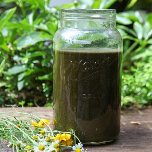 6 Ways to Use Alfalfa in the Home and Garden Garden Therapy