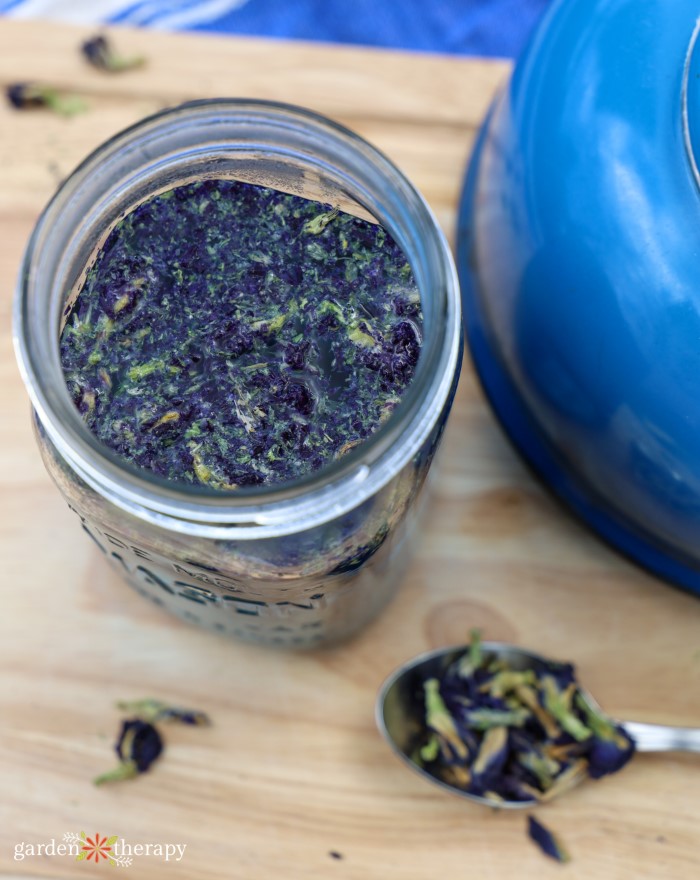 brewing butterfly pea flower tea