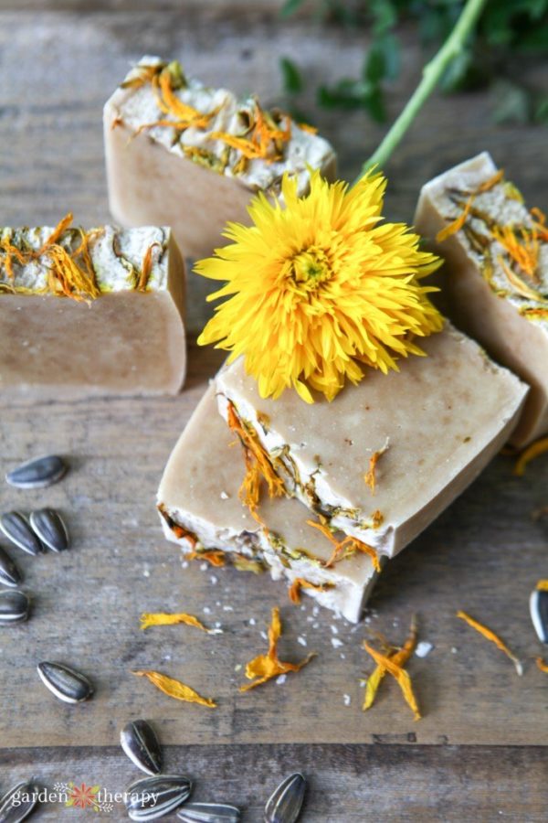 calendula and sunflower soap
