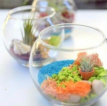 fishbowl terrarium