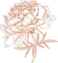 flower illustration