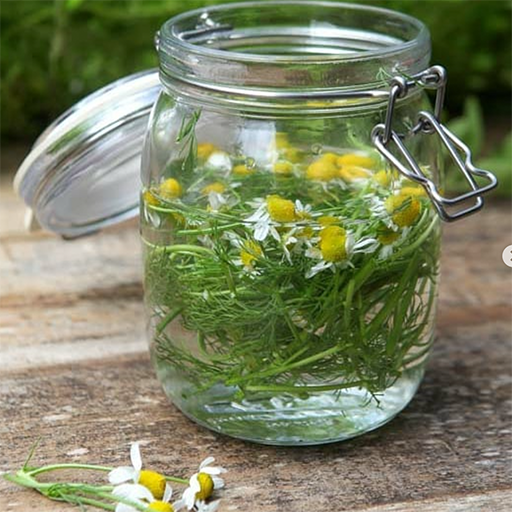 flowers jar