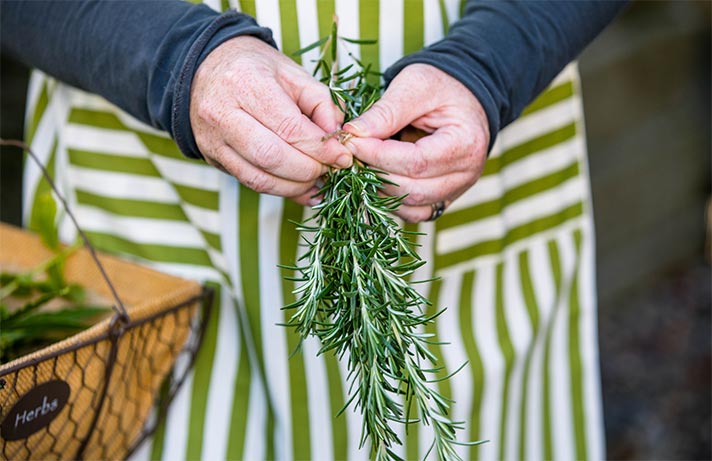 close up of woman in apron's hands tying a bunch of rosemary