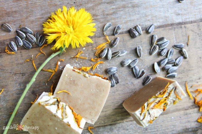 sunflower soap with turmeric and calendula