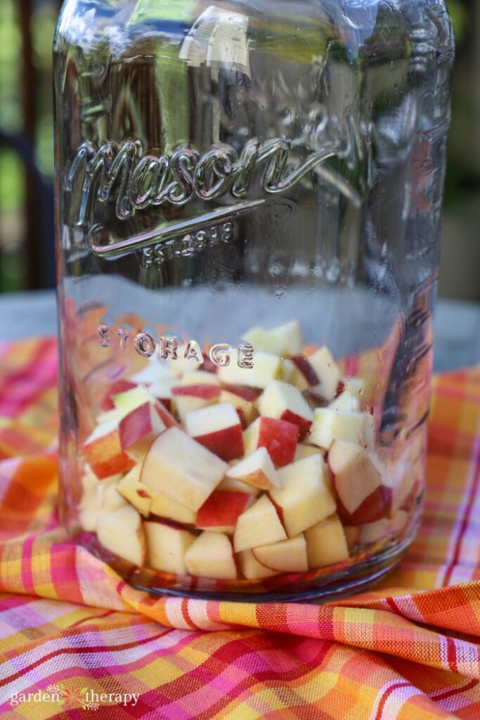 fruit for sangria in pitcher