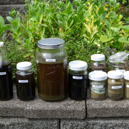 homemade fertilizers and tea
