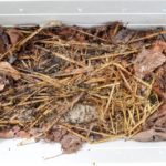 bedding for vermicompost