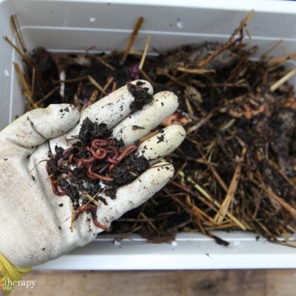 handful of worm castings