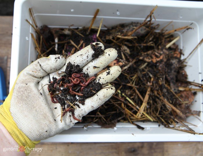 handful of worm castings