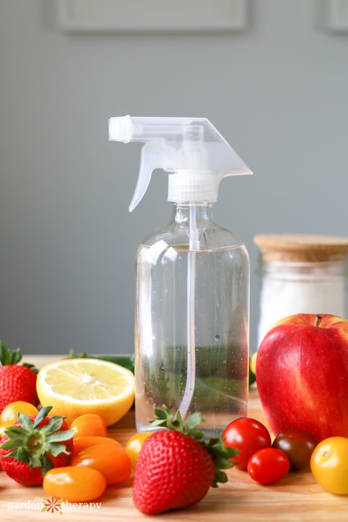 Homemade fruit and vegetable wash