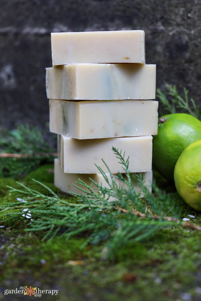 Sweetly Masculine Lime and Cedarwood Soap Recipe