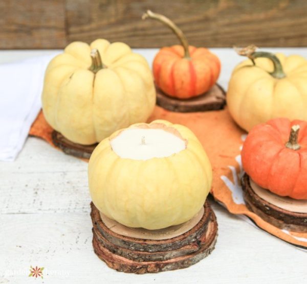 DIY Pumpkin Spice Candle in a Real Pumpkin Garden Therapy