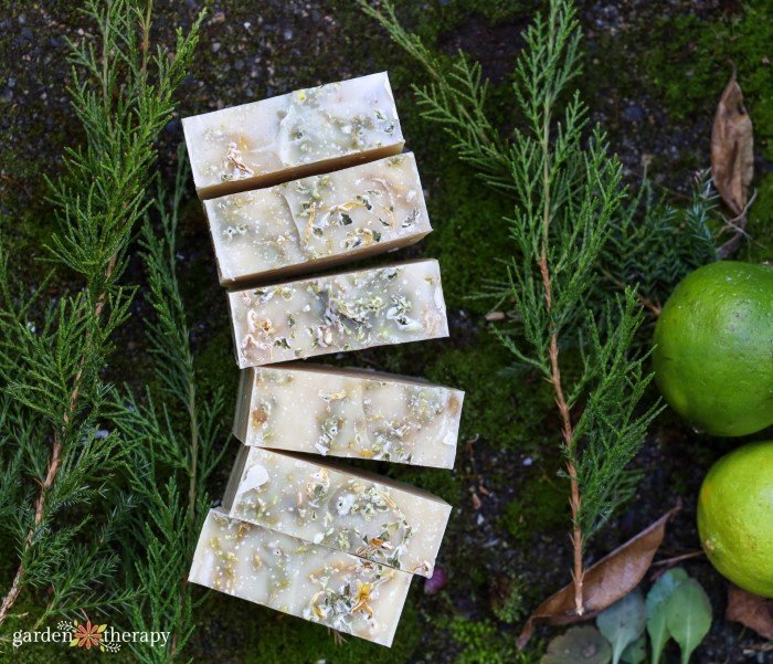 cedarwood soap recipe