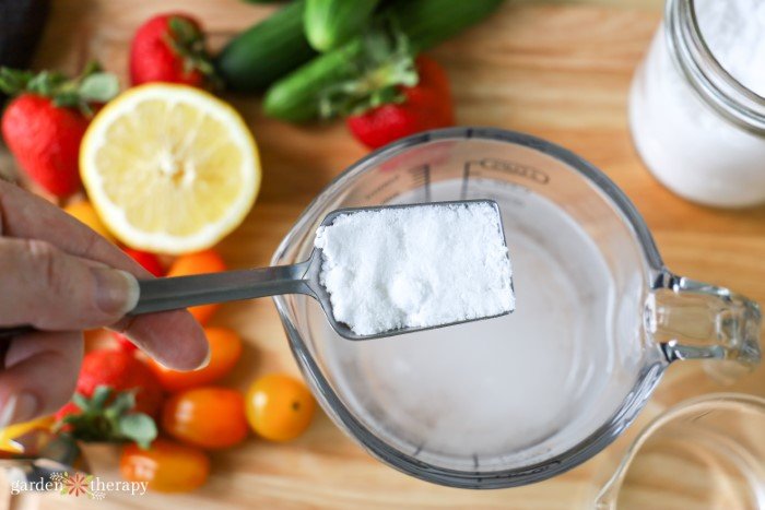 making fruit and vegetable wash with citric acid