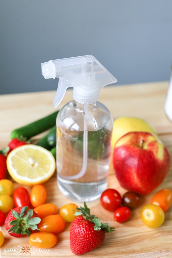 homemade fruit and vegetable wash surrounded by fresh produce