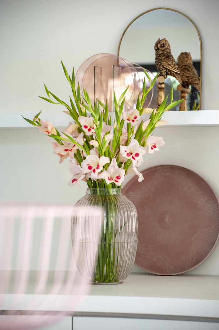 cut gladiolus in a vase